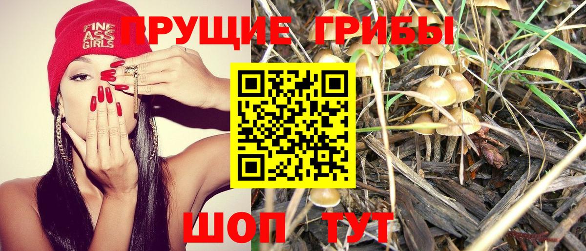 Псилоцибиновые грибы прущие грибы Ливны